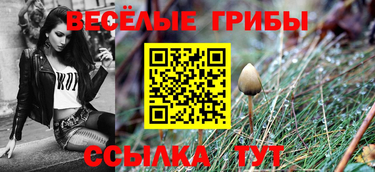 Галлюциногенные грибы прущие грибы Волгодонск