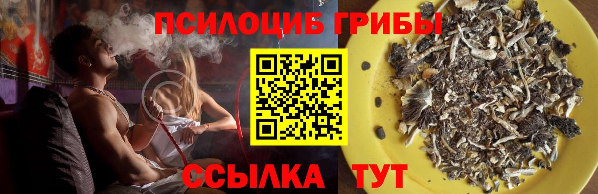 Псилоцибиновые грибы мухоморы  Вход с VPN  Волгодонск 
